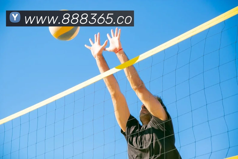 战术分析频道